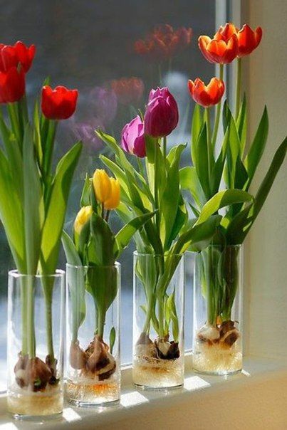 Inspirace na krásné tulipánové dekorace: Stačí naskládat do vázy! Inspirace na krásné tulipánové dekorace: Stačí naskládat do vázy!