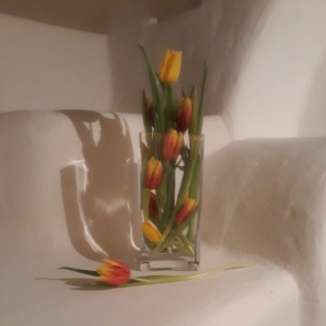 Inspirace na krásné tulipánové dekorace: Stačí naskládat do vázy! Inspirace na krásné tulipánové dekorace: Stačí naskládat do vázy!