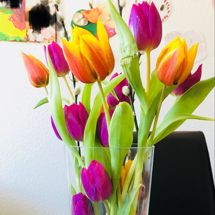 Inspirace na krásné tulipánové dekorace: Stačí naskládat do vázy! Inspirace na krásné tulipánové dekorace: Stačí naskládat do vázy!