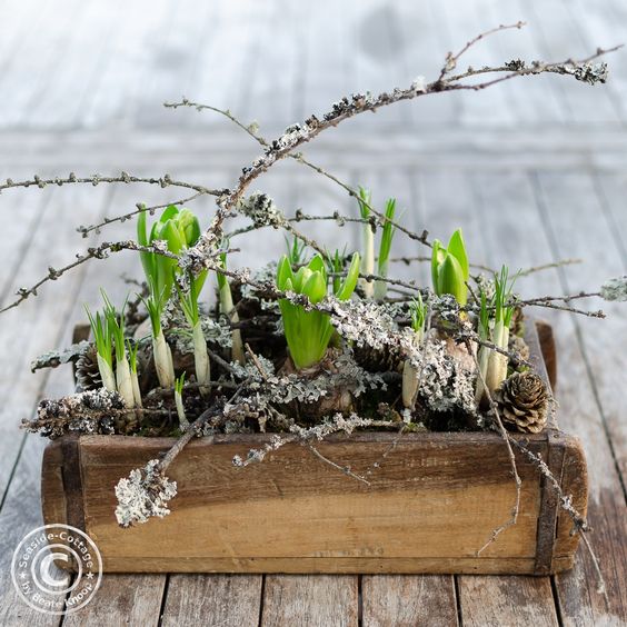 Inspirace na originální jarní dekoraci: Využijte obyčejný, starý šuplík! Inspirace na originální jarní dekoraci: Využijte obyčejný, starý šuplík!