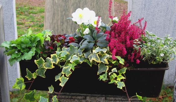 Oprašte truhlíky a připravte je na jarní měsíce – Krásné inspirace na parapety Oprašte truhlíky a připravte je na jarní měsíce – Krásné inspirace na parapety