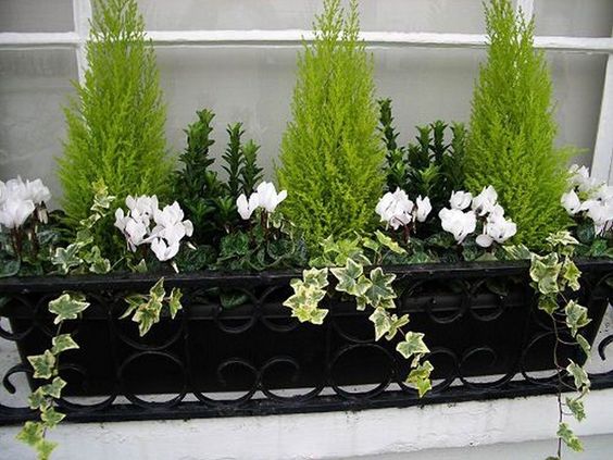 Oprašte truhlíky a připravte je na jarní měsíce – Krásné inspirace na parapety Oprašte truhlíky a připravte je na jarní měsíce – Krásné inspirace na parapety