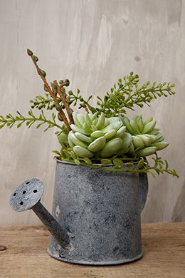 Využijte klasickou plechovou konev jako originální květináč: 20+ Prima inspirací Využijte klasickou plechovou konev jako originální květináč: 20+ Prima inspirací