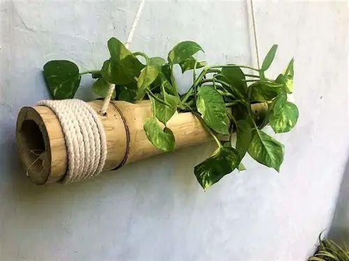 Omrzely vás už klasické květináče? Vyrobte si tedy takovýto originální!