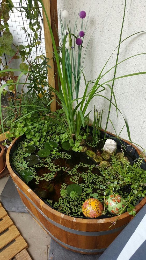 Inspirace na nadcházející zahrádkářskou sezonu: 20+ zahradních jezírek z dřevěných a plechových van! Inspirace na nadcházející zahrádkářskou sezonu: 20+ zahradních jezírek z dřevěných a plechových van!