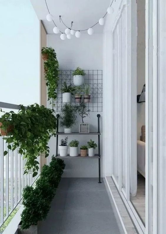 Inspirace, jak zkrášlit vaše květiny v domácnosti – Využijte železné mřížky a tyčky! Inspirace, jak zkrášlit vaše květiny v domácnosti – Využijte železné mřížky a tyčky!
