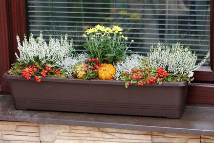 Zkrášlete si své okno tímto překrásným podzimním nápadem! Zkrášlete si své okno tímto překrásným podzimním nápadem!
