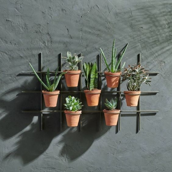 Inspirace, jak zkrášlit vaše květiny v domácnosti – Využijte železné mřížky a tyčky! Inspirace, jak zkrášlit vaše květiny v domácnosti – Využijte železné mřížky a tyčky!