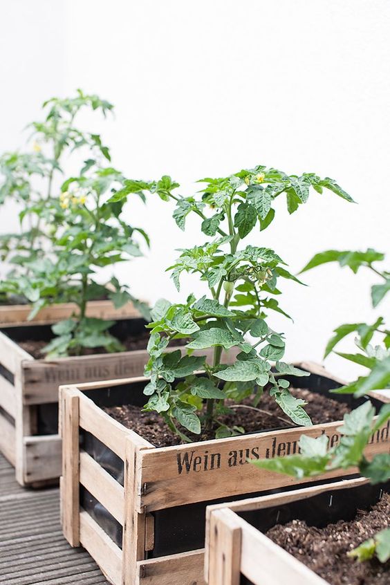 24 originálních květináčů, které si zvládnete vyrobit – Inspirujte se!