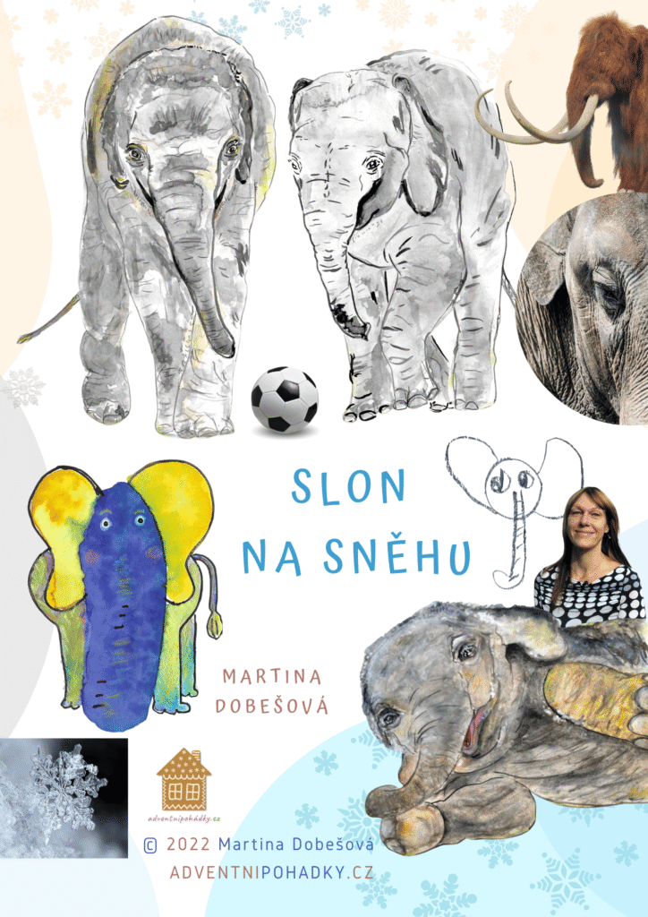 16-Slon-na-snehu-Adventni-pohadky-Martina-Dobesova-2022 rozhovor: