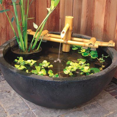 Inspirace na nadcházející zahrádkářskou sezonu: 20+ zahradních jezírek z dřevěných a plechových van! Inspirace na nadcházející zahrádkářskou sezonu: 20+ zahradních jezírek z dřevěných a plechových van!