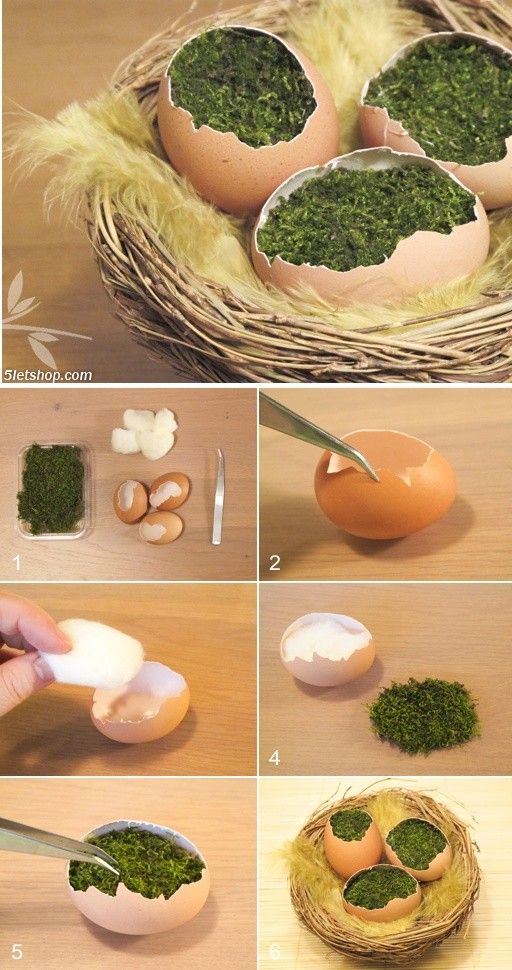 Vaječné skořápky, jako součást velikonoční dekorace – Inspirujte se! Vaječné skořápky, jako součást velikonoční dekorace – Inspirujte se!