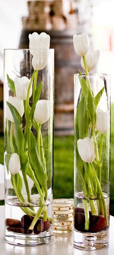 Pohádkové dekorace z tulipánů: Vykouzlete si jeden z těchto krásných výtvorů! Pohádkové dekorace z tulipánů: Vykouzlete si jeden z těchto krásných výtvorů!