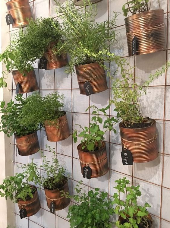 Inspirace, jak zkrášlit vaše květiny v domácnosti – Využijte železné mřížky a tyčky! Inspirace, jak zkrášlit vaše květiny v domácnosti – Využijte železné mřížky a tyčky!