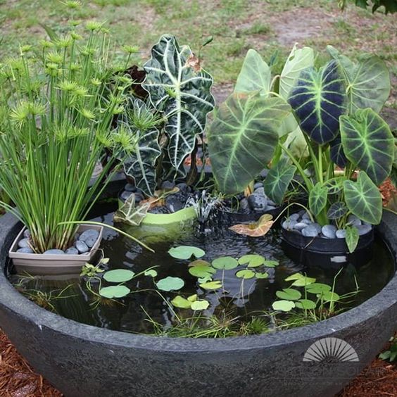 Inspirace na nadcházející zahrádkářskou sezonu: 20+ zahradních jezírek z dřevěných a plechových van! Inspirace na nadcházející zahrádkářskou sezonu: 20+ zahradních jezírek z dřevěných a plechových van!