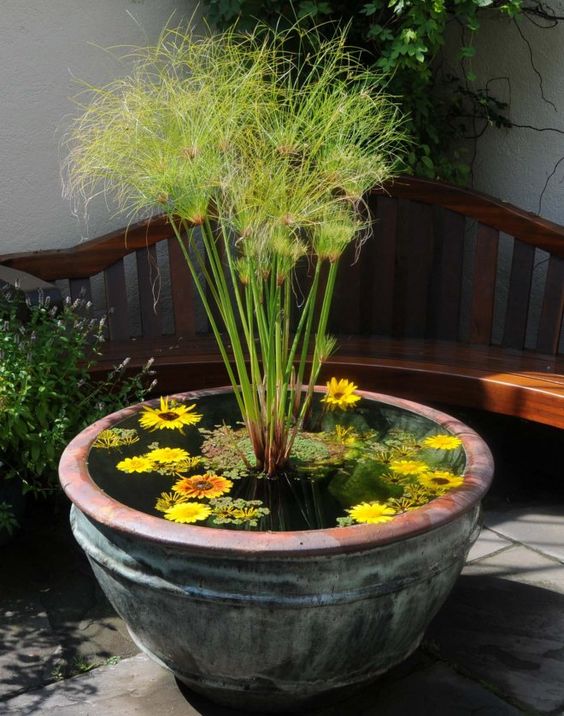 Inspirace na nadcházející zahrádkářskou sezonu: 20+ zahradních jezírek z dřevěných a plechových van! Inspirace na nadcházející zahrádkářskou sezonu: 20+ zahradních jezírek z dřevěných a plechových van!
