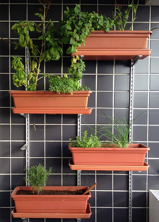 Inspirace, jak zkrášlit vaše květiny v domácnosti – Využijte železné mřížky a tyčky! Inspirace, jak zkrášlit vaše květiny v domácnosti – Využijte železné mřížky a tyčky!