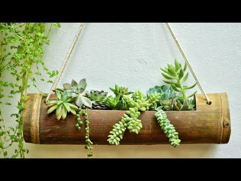 Bambusová tyč, jako skvělý květináč do domácnosti a na zahradu – Inspirujte se!