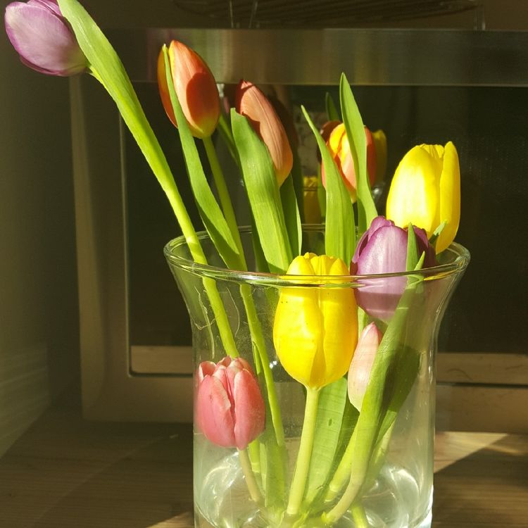 Pohádkové dekorace z tulipánů: Vykouzlete si jeden z těchto krásných výtvorů! Pohádkové dekorace z tulipánů: Vykouzlete si jeden z těchto krásných výtvorů!