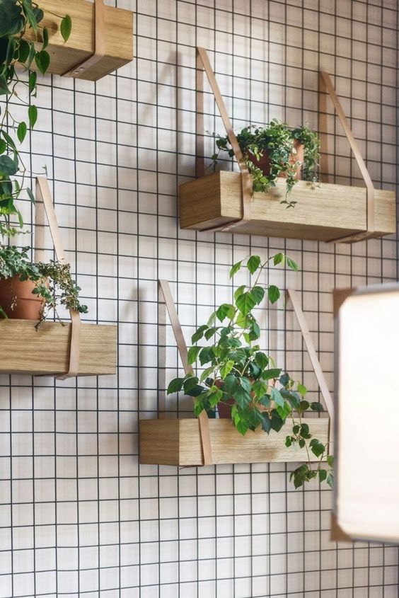 Inspirace, jak zkrášlit vaše květiny v domácnosti – Využijte železné mřížky a tyčky! Inspirace, jak zkrášlit vaše květiny v domácnosti – Využijte železné mřížky a tyčky!