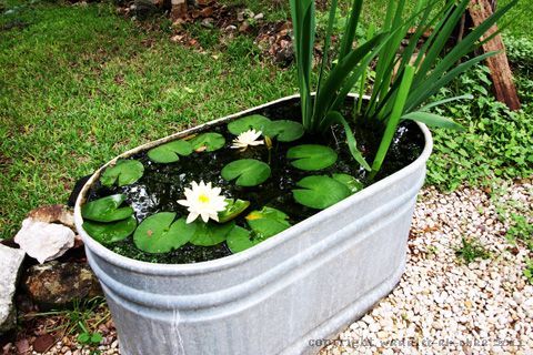 Inspirace na nadcházející zahrádkářskou sezonu: 20+ zahradních jezírek z dřevěných a plechových van! Inspirace na nadcházející zahrádkářskou sezonu: 20+ zahradních jezírek z dřevěných a plechových van!
