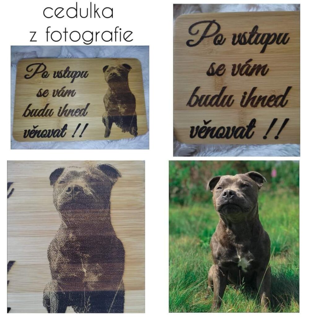 326397736-1217422315530724-1431310641131824954-n rozhovor: