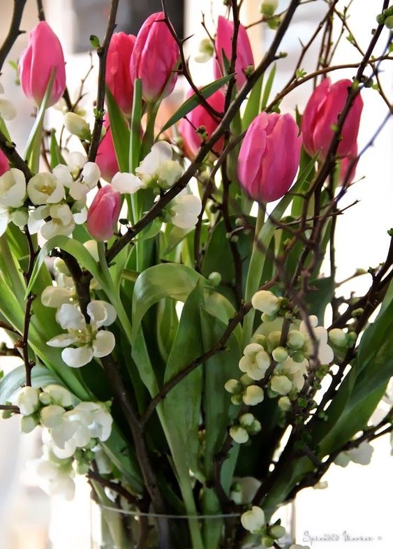 Pohádkové dekorace z tulipánů: Vykouzlete si jeden z těchto krásných výtvorů! Pohádkové dekorace z tulipánů: Vykouzlete si jeden z těchto krásných výtvorů!