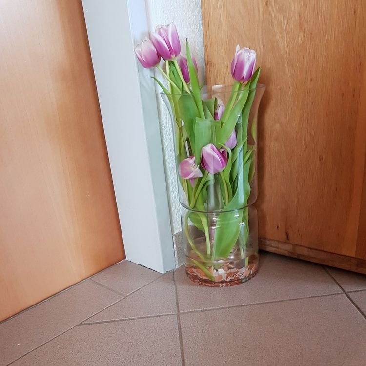 Pohádkové dekorace z tulipánů: Vykouzlete si jeden z těchto krásných výtvorů! Pohádkové dekorace z tulipánů: Vykouzlete si jeden z těchto krásných výtvorů!