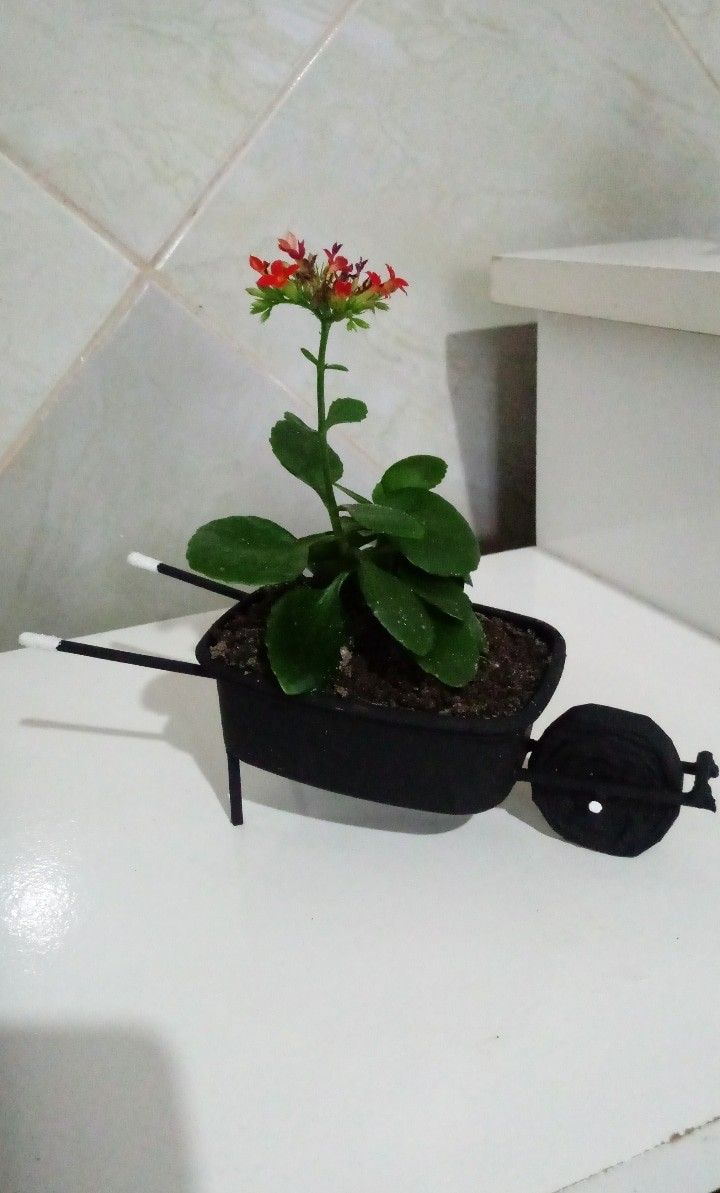 Skvělá zábava pro děti! Využijte obyčejnou krabičku od másla – Prima inspirace Skvělá zábava pro děti! Využijte obyčejnou krabičku od másla – Prima inspirace