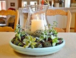 20+ krásných a velice vkusných spojení svícnů a rostlin – Inspirujte se! 20+ krásných a velice vkusných spojení svícnů a rostlin – Inspirujte se!