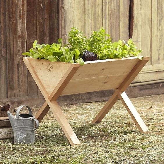 24 originálních květináčů, které si zvládnete vyrobit – Inspirujte se!