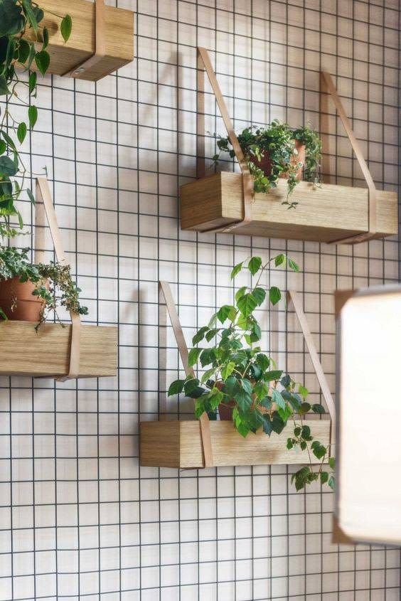 Inspirace, jak zkrášlit vaše květiny v domácnosti – Využijte železné mřížky a tyčky! Inspirace, jak zkrášlit vaše květiny v domácnosti – Využijte železné mřížky a tyčky!