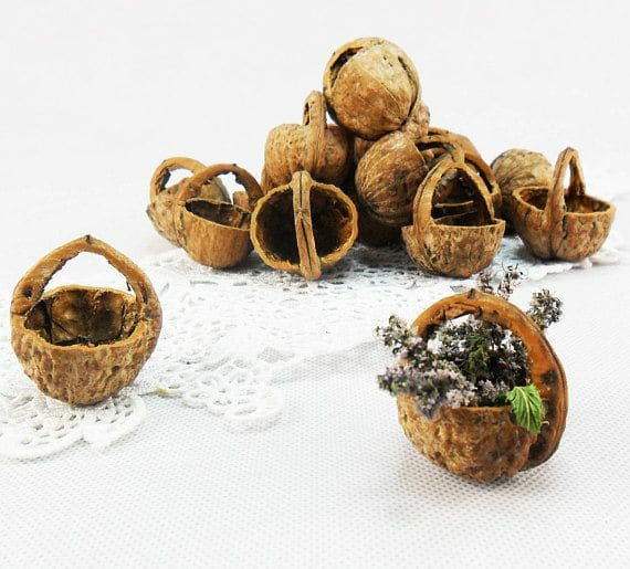 Nevyhazujte ořechové skořápky: 31+ překrásných dekorací z ořechů a ořechových skořápek na podzimní měsíce! Nevyhazujte ořechové skořápky: 31+ překrásných dekorací z ořechů a ořechových skořápek na podzimní měsíce!