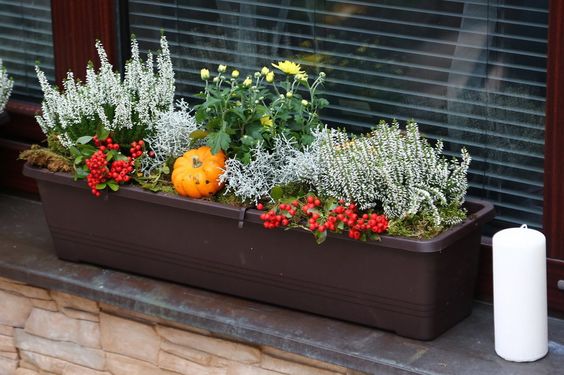 Vytvořte si krásné podzimní truhlíky: 30+ nápadů na parapety, balkóny a terasy! Vytvořte si krásné podzimní truhlíky: 30+ nápadů na parapety, balkóny a terasy!