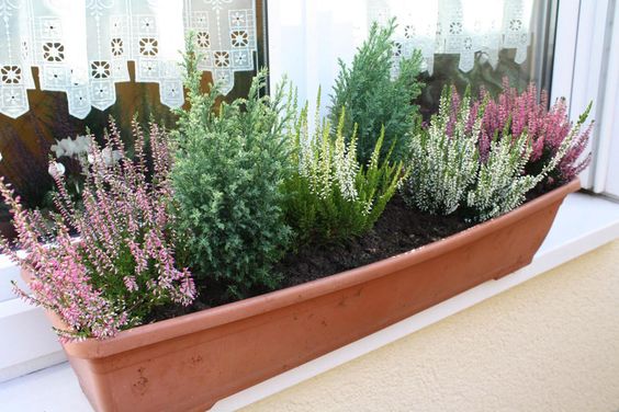Vytvořte si krásné podzimní truhlíky: 30+ nápadů na parapety, balkóny a terasy!