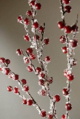 iced berry branch Vytvořte si zimní kytici – větvičky stačí natřít lepidlem a posypat solí